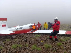 6866125babfce192__w1200xh904