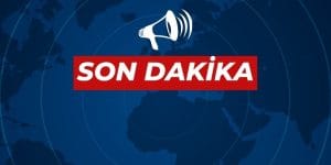 WhatsApp Image 2025-07-04 at 16.46.54