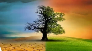 turkiye-nin-ilk-iklim-kanunu-tbmm-de-yasalasti-1751539282-967_large