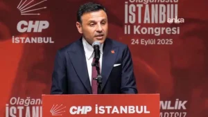 68d3cf90a1cad669__w1200xh675