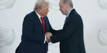 68edc90ab5ea0395__w1200xh884