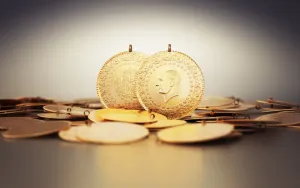 68f873842bba2558__w1200xh750