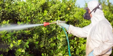 691d71a93a7b8293__w1200xh690